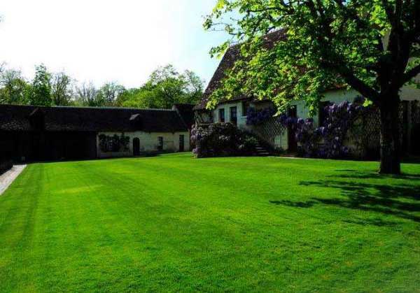 別墅庭院子家用天然草坪 別墅庭院子家用天然草坪