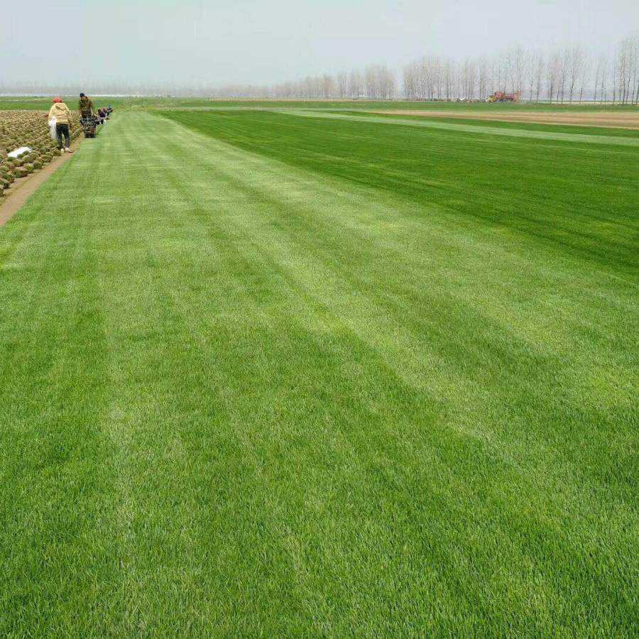 1648022881990336.jpg 1648022881990336.jpg