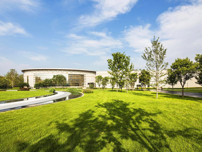 園區廠區工廠公司園林綠化苗木品種 園區廠區工廠公司園林綠化苗木品種