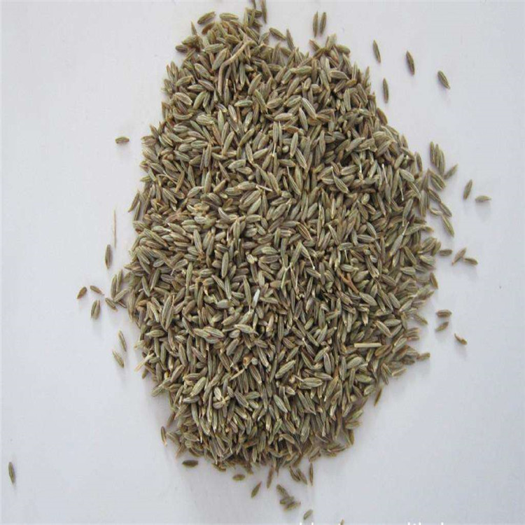 孜然種子 孜然種子