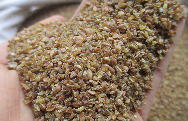 苦蕎麥價格多少錢一棵?苦蕎麥如何種植? 苦蕎麥價格多少錢一棵?苦蕎麥如何種植?